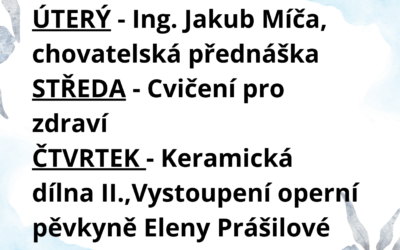 AKTIVITY 3.2-7.2.2025