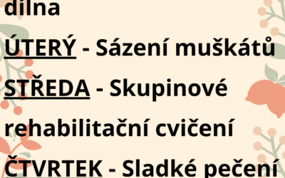 Aktivity 12. – 16. 5. 2025