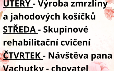 Aktivity 9.6. – 13.6.2025