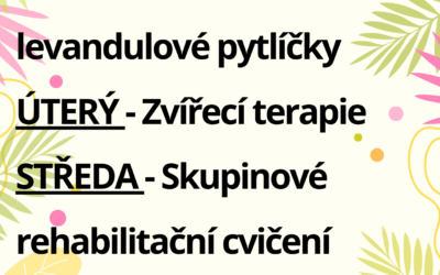 Aktivity 30. 6. – 4. 7. 2025