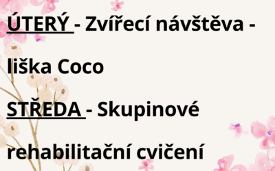 Aktivity 21.7. – 25.7.2025