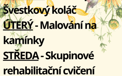 Aktivity 4. 8. – 8. 8. 2025