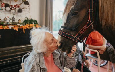 Hipoterapie ❤️ Díky vám!