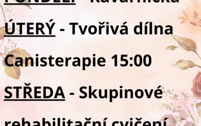 Aktivity 15. 9. – 19. 9. 2025