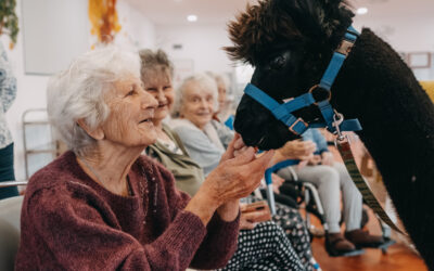 Návštěva Glorie a Melmena