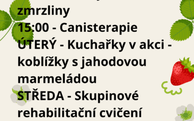 Aktivity 15. 6. – 19. 6. 2026
