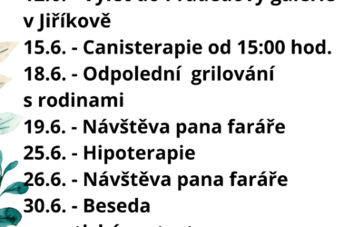 Aktivity ČERVEN