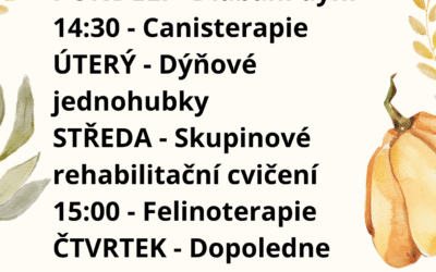 Aktivity 12. 10.  – 16. 10. 2026